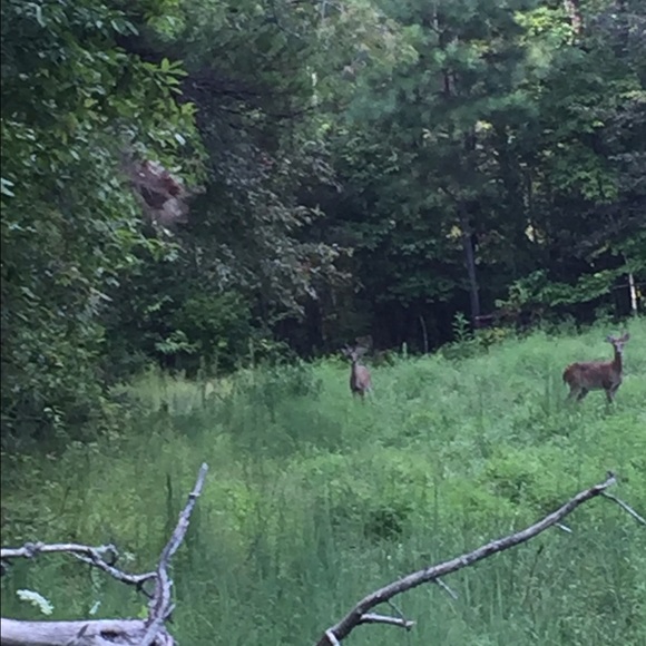 Profile Picture of Tanner Wilcox (@tannerw012) on Poshmark