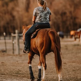 Profile Picture of Haley Moseley (@haleyshane) on Instagram