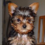 Jaycee Jones - Instagram Profile Picture of Jaycee Jones (@jayjayohhey) on Instagram