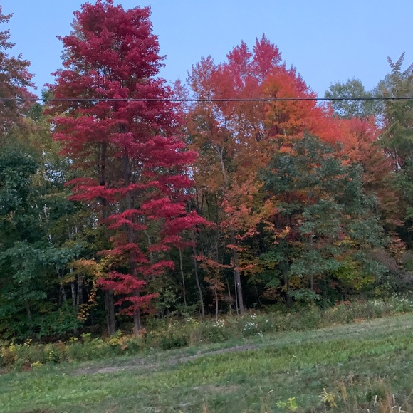 Profile Picture of Christian Skovranko (@c_skovranko) on Poshmark