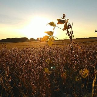 Profile Picture of Tristan Perkins (@tristan.perkins.589) on Facebook