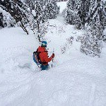 Profile Picture of Patrick Koch (@paddy0k) on Instagram