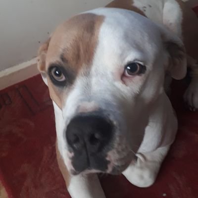 Charlie Strange - Twitter Profile Picture of Charlie Strange (@CharlieStrang10) on Twitter