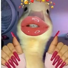 Profile Picture of christopherhester (@christopher.heste3) on Tiktok