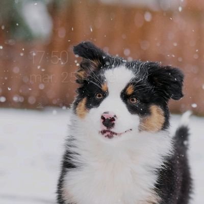 Profile Picture of Thomas Saenz (@Kaelior) on Twitter