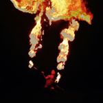 Profile Picture of Peter Stegmann (@sir_firefly) on Instagram