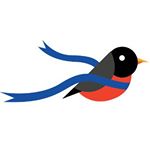 Profile Picture of Spring Robin Races (@springrobinraces) on Instagram