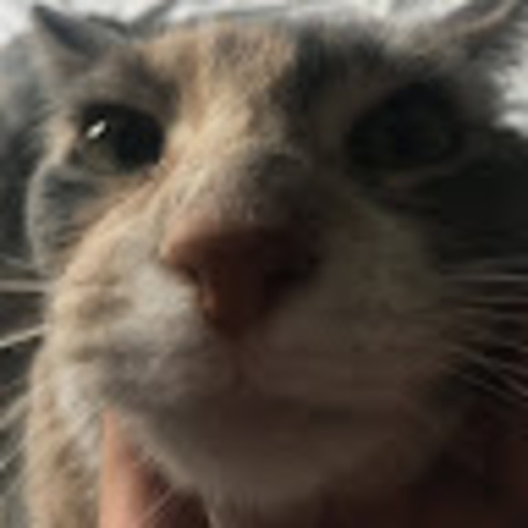 Profile Picture of Sarina Walpole (@sunnyupflower) on Poshmark