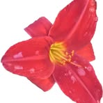 Profile Picture of Nancy Tanner (@nancy.tanner.1428) on Facebook