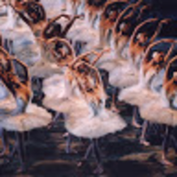 Profile Picture of Jada Hughes (@jadaenpointe) on Poshmark