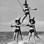 Profile Picture of Gregory Barnett (@enigmadog) on Instagram