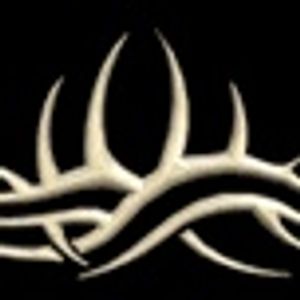 Profile Picture of Saeed Suleman (@saeedbill) on Myspace