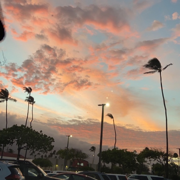 Profile Picture of Kalla P (@kallap) on Poshmark