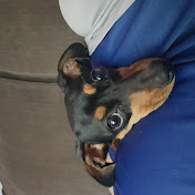 Profile Picture of Simon Richard (@simonrichard7716) on Youtube