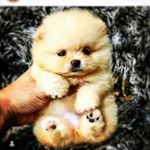 Profile Picture of Kimberly Irigoyen Valdez (@kimberlyirigoyenvaldez05) on Instagram