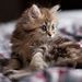 Profile Picture of JILLIAN TOWLE (@jillian8937) on Pinterest