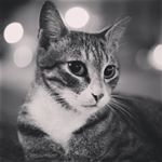 Profile Picture of Wayne Huang (@bbbatmanwayne) on Instagram