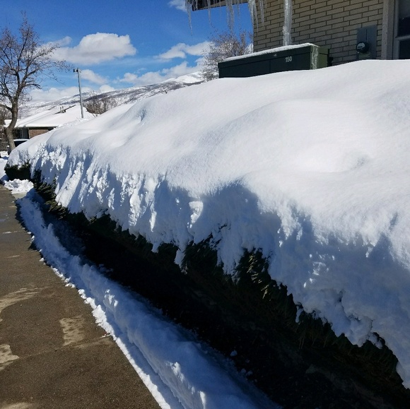 Profile Picture of Matt Gardner (@mdg146) on Poshmark