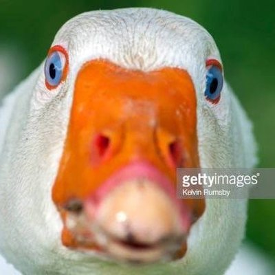 Profile Picture of Jonathon Thomson (@DarkCraftG) on Twitter