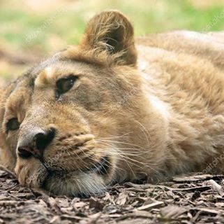 Profile Picture of Julio Leo (@Julio-Leo) on Facebook