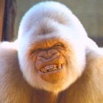 Profile Picture of TJ Mitchell (@weirdly_beardly) on Instagram