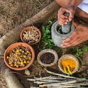 Profile Picture of Chander Bajaj Ayurveda (@chanderbajajayurveda) on Youtube