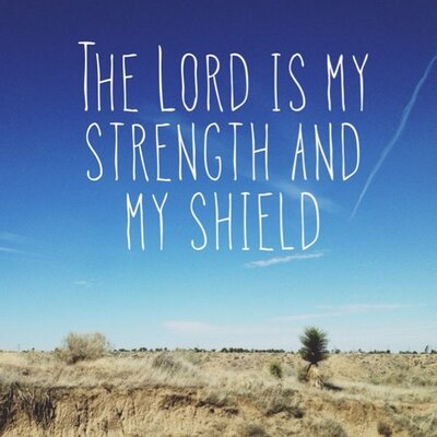 Profile Picture of Kevin Schneider (@__kev____) on Twitter