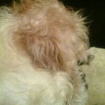 Profile Picture of Valerie Anne Smart (@nanny_shitter) on Instagram