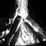 Profile Picture of staceyfarrow (@staceyfarrow_spams) on Instagram