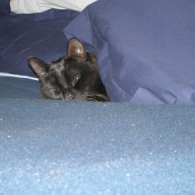 Profile Picture of Jacob B. Feldt (@JBFepic) on Twitter