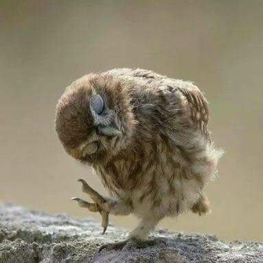 Profile Picture of Mark Glover (@maglo59) on Twitter