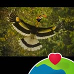 Profile Picture of Jon Kukichin (@prothom.dekha.568) on Facebook