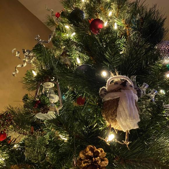 Profile Picture of Christina Bardon (@cbardon_) on Poshmark