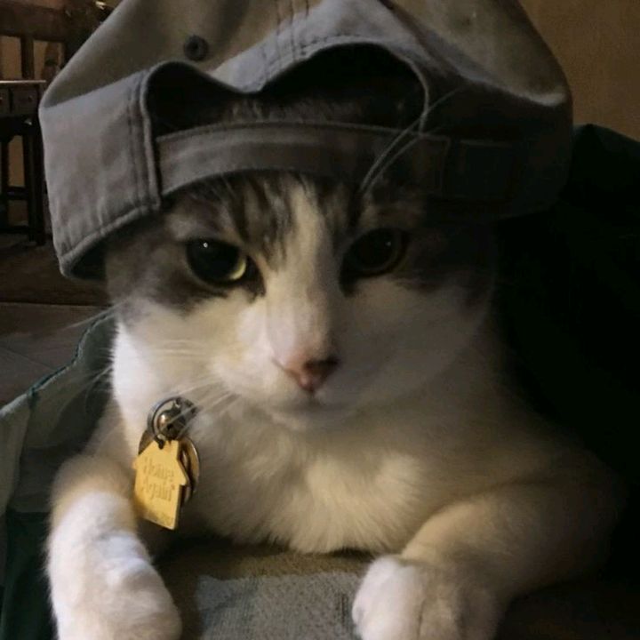 Profile Picture of inez (@inezlagi) on Tiktok