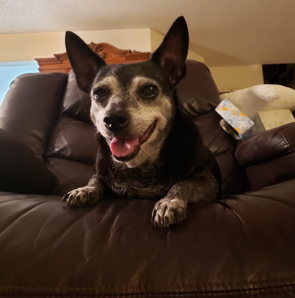 Profile Picture of Josephine Mitchell (@josephinemitche) on Poshmark