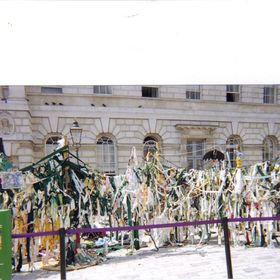 jackie James - Pinterest Profile Picture of jackie James (@janna4j) on Pinterest