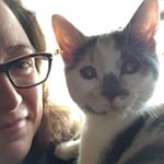 Profile Picture of Cathy Bainbridge (@ckbainbridge) on Instagram