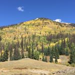 Profile Picture of shellistout (@shellistout) on Instagram