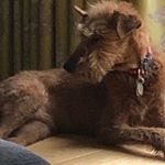 Profile Picture of Matthew Quill (@matthew.quill.5) on Instagram