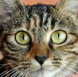 Profile Picture of Giuseppe Armetta (@giuseppe.armetta.37) on Facebook