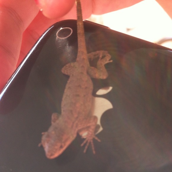 Profile Picture of Brian Juarez (@brian15) on Poshmark