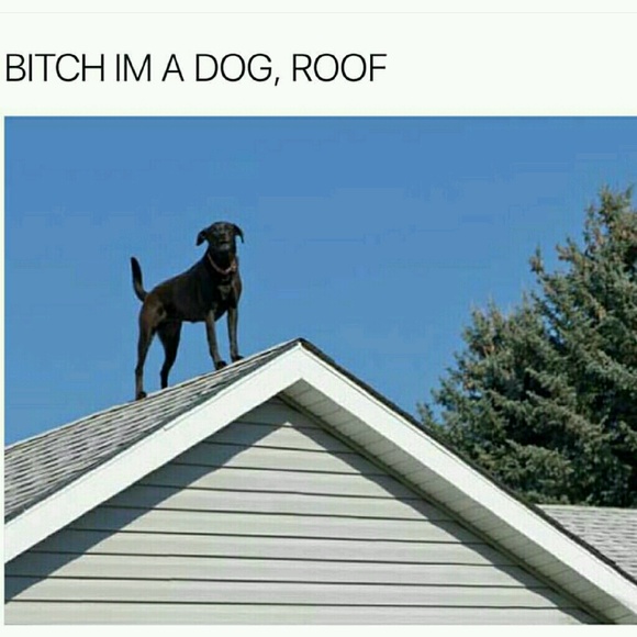 Profile Picture of Adam Bernard (@abbecks) on Poshmark