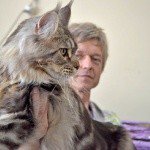 Profile Picture of Glenilla (@glenillawilder) on Instagram