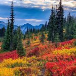 Profile Picture of Jaylene Harrison Ruth (@gullwaylfl) on Instagram