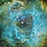 Profile Picture of Robin Lee (@robinlkm) on Flickr