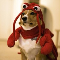 Profile Picture of Bryan Haithcoat (@bryan-haithcoat) on Quora