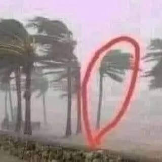 Profile Picture of Edgar Guy (@edgarguy) on Instagram