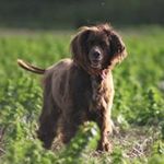 Profile Picture of Suzanne Bailey (@suzanne.bailey.92) on Instagram