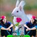 Profile Picture of Nick Chowdhury (@nick.chowdhury.775) on Facebook