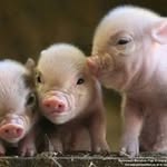 Profile Picture of David Salt (@david.salt) on Instagram